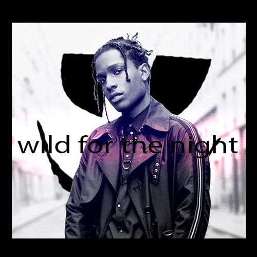 wild for the night [free dl]