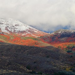 Cry Idaho