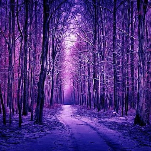 The Purple Forest English Cover