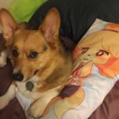 BF4 Legacy Operations (Dragon Valley 2015 Theme)