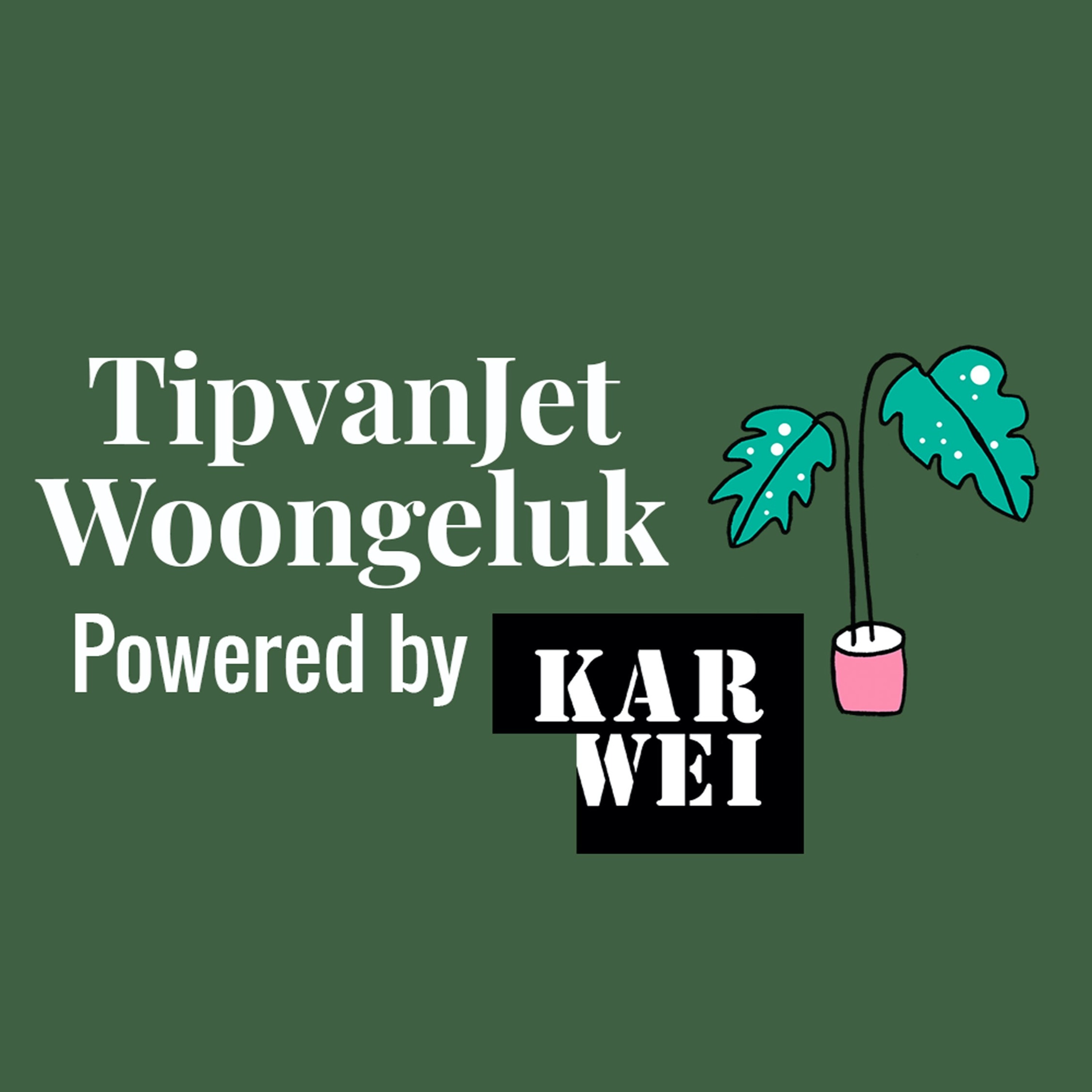 #4. Het huis op de kop, er komt een tweeling aan! - Met Elise Boers.