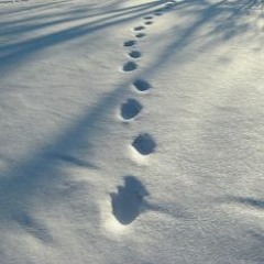 Foot Prints (Instrumental.)