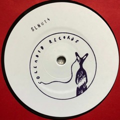Erta Ale - SLN014 (12'' Vinyl Only) - Solenoid Records