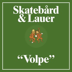 Skatebård & Lauer - The Light (Snippet)