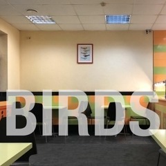 Formally Unknown - Birds