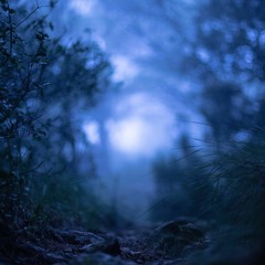 ZéM - Pressence