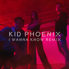 I Wanna Know (Kid Phoenix Remix)