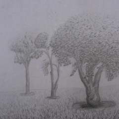 Vacío - S. Daniel Borbón