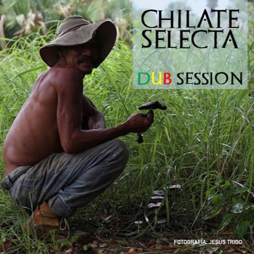 Dub Session