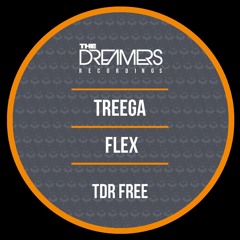 Treega - Flex_TDRFREE021