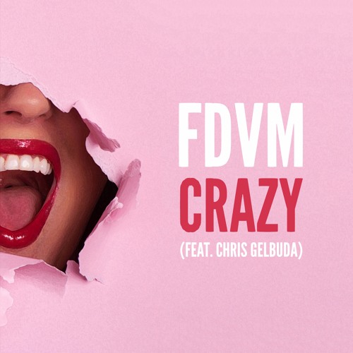 FDVM Feat. Gelbuda - Crazy (Original Mix)