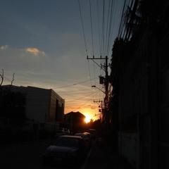 Your Parousia