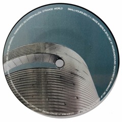 B2 Darren Allen - Strange World