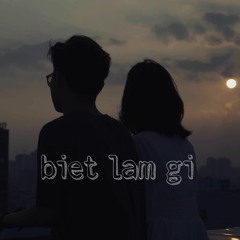biet lam gi (original) - Le Trong Hoang