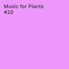 Paula Tape - Music For Plants #20 (live) Radio Raheem