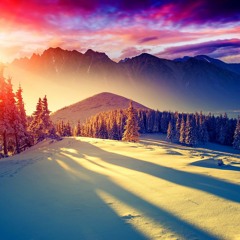 Majestic Sentiments