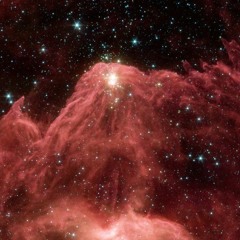 Space trip