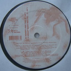 SWAT - The Fly Is Dead (Public Domain Remix)