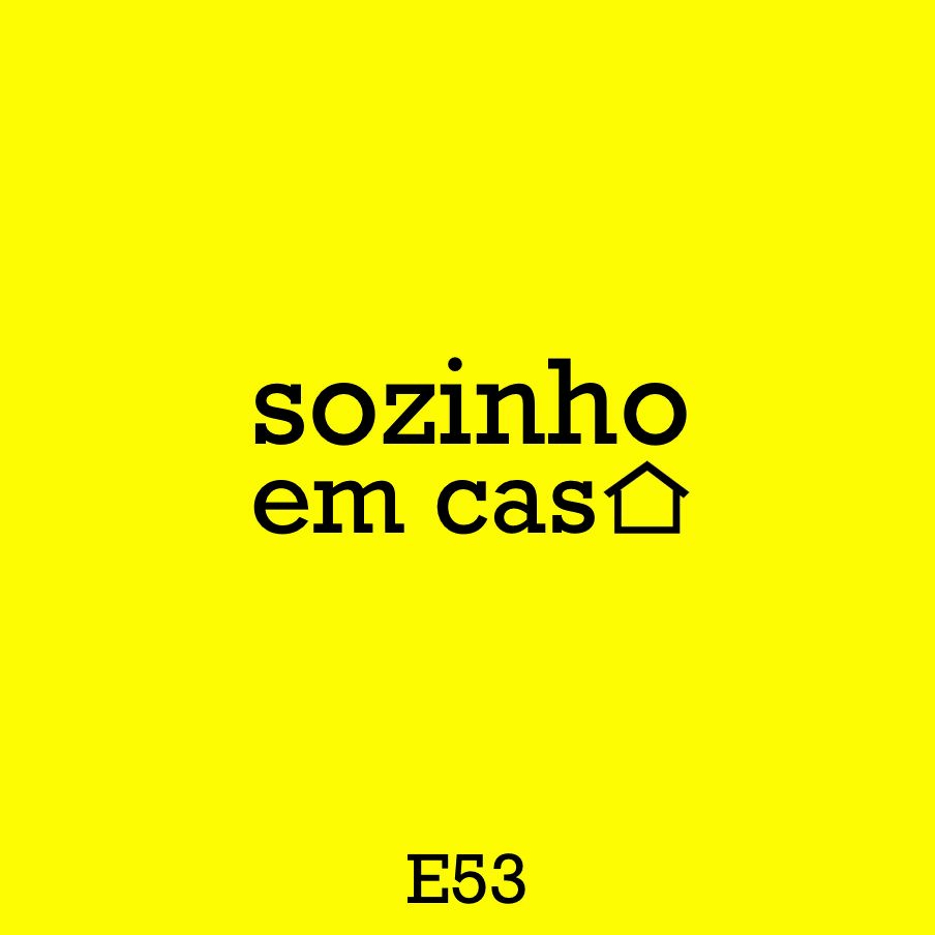 sozinho em casa