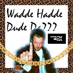 Wadde Hadde Dude Da (DJ Rex Bootleg)