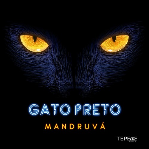 Stream mandruvá - Gato Preto [tpmFree 001] by Tepeme Música | Listen online  for free on SoundCloud