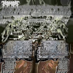⟪𝘢𝘤𝘤𝘦𝘭𝘦𝘳𝘢𝘵𝘦⟫