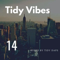 Tidy Vibes Vol. 14