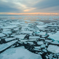 ARCTIC