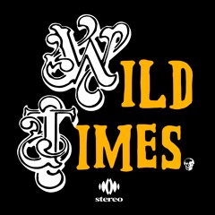 WILD TIMES *BEST OF 2019 MIX*