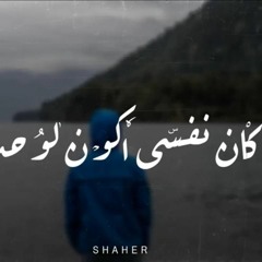 Shaher - I Want To Be Aloneشاهر كان نفسي اكون لوحدي (Official Audio) Prod. Era
