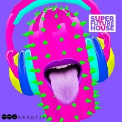 Audentity Records - Super Future House