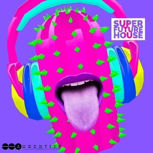 Audentity Records - Super Future House
