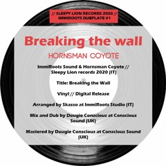 Breaking the Wall_ImmiRoots Sound feat Hornsman Coyote