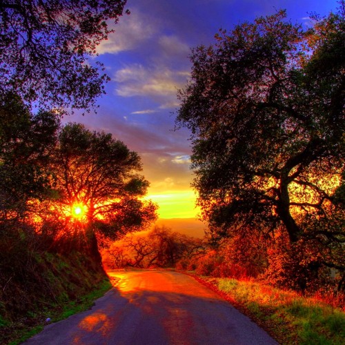 Sunset