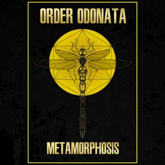 Order Odonata - Metamorphosis sampler