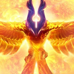 Ashes Of Phoenix