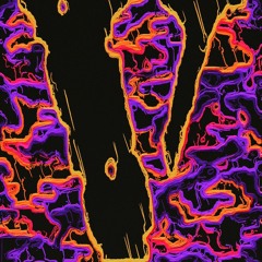 Vlone Wolf (prod. By Bokabih)