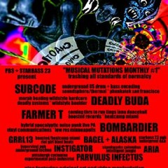 Chaotic Transdimension - Dec 17th 1999 in Pittsburgh