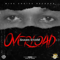 Shawn Storm - Overload (Raw) [Brave Riddim]