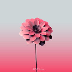 .collection ||| (Vol. 2)