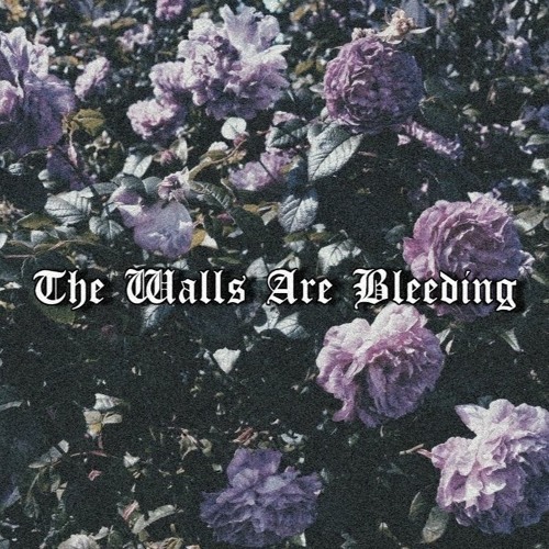 Chewin Pills (Ft. Complexity x January//Afterhours)