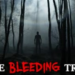 "The Bleeding Tree" Creepypasta