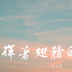 王小帅 - 挥着翅膀的女孩【動態歌詞/Lyrics Video】
