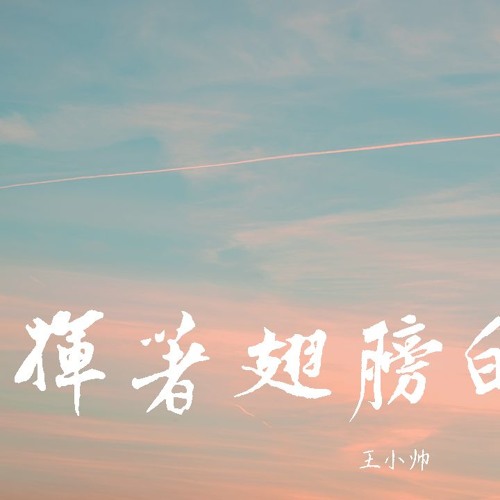 王小帅 - 挥着翅膀的女孩【動態歌詞/Lyrics Video】