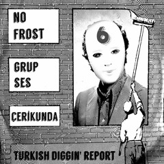 Turkish Diggin' Report Vol 6 (2019)
