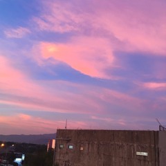 JOKO in BERLIN - EUPHORIA