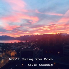 Won't Bring You Down (Radio Edit)