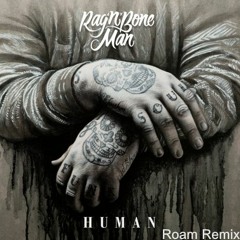 Rag'n'Bone Man - Human (Roam Remix)
