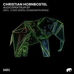 Christian Hornbostel - Entropia (Original Mix) [Set About]