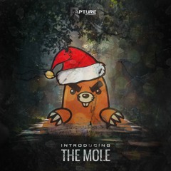 Introducing - The Mole (DJ Set)